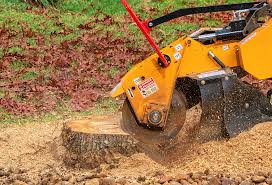 How Our Tree Care Process Works  in  Oakdale, NY